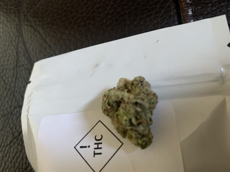 Dirty Taxi cannabis strain, community photo 2