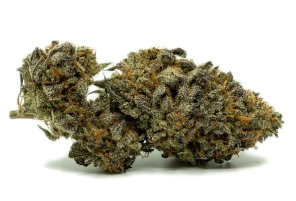 Do Si Dos cannabis strain, community photo 2