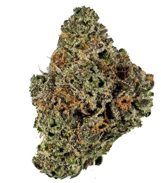 Dolato cannabis strain, community photo 1