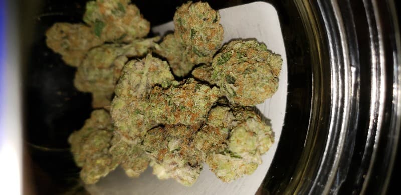 Dolato cannabis strain, community photo 4