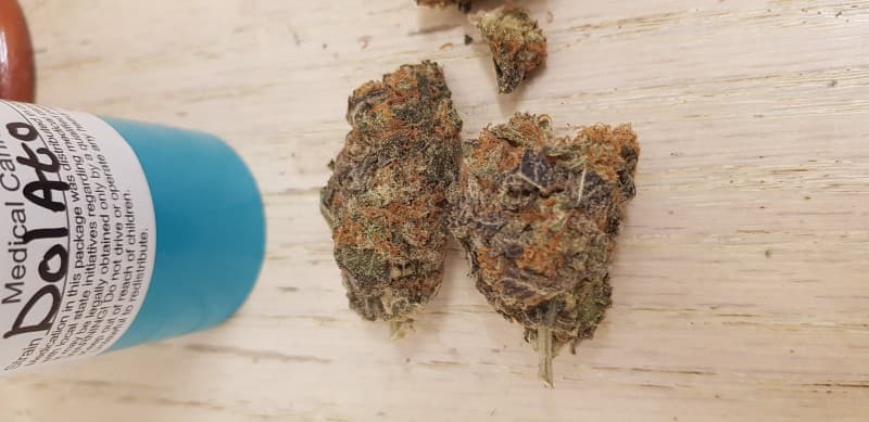 Dolato cannabis strain, community photo 5
