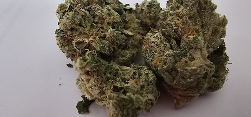 Don Mega cannabis strain, community photo 1