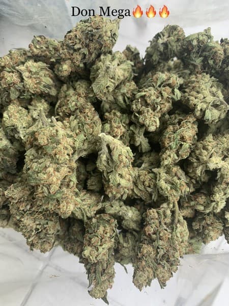 Don Mega cannabis strain, community photo 2