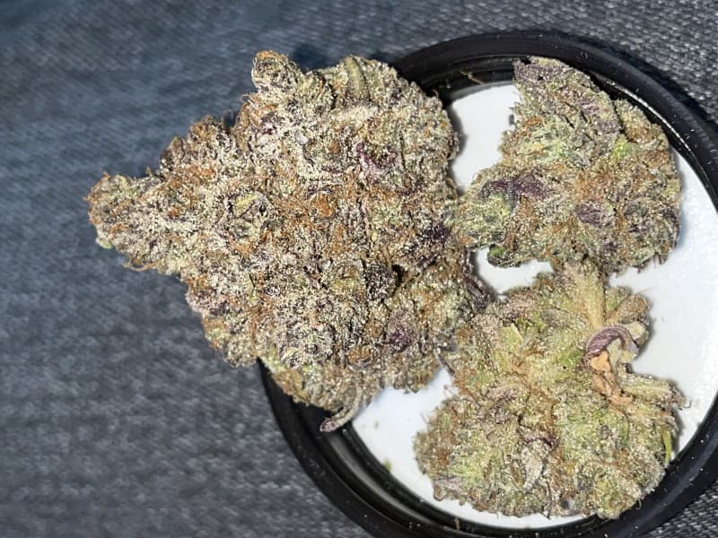 Don Mega cannabis strain, community photo 3