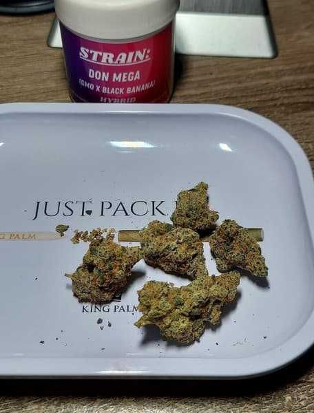 Don Mega cannabis strain, community photo 4