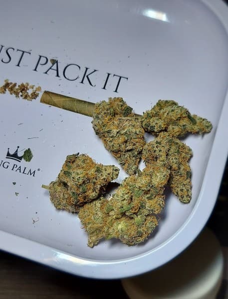 Don Mega cannabis strain, community photo 5