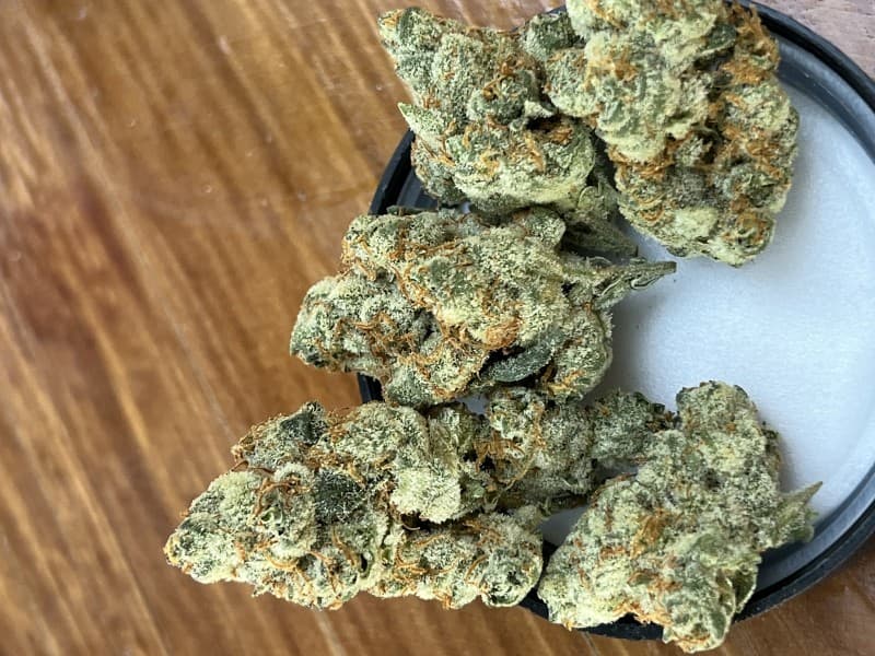Dosi Punch cannabis strain, community photo 1