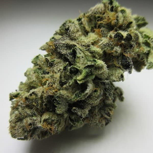 Dosi Punch cannabis strain, community photo 2