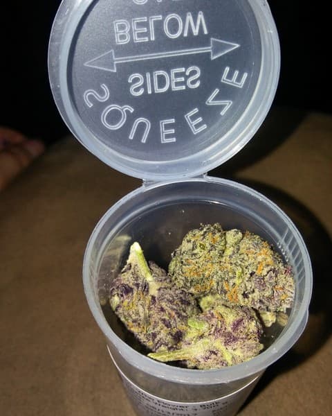 Dr. Who cannabis strain, community photo 1