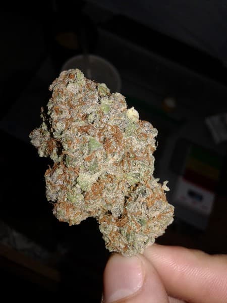 Dr. Who cannabis strain, community photo 5