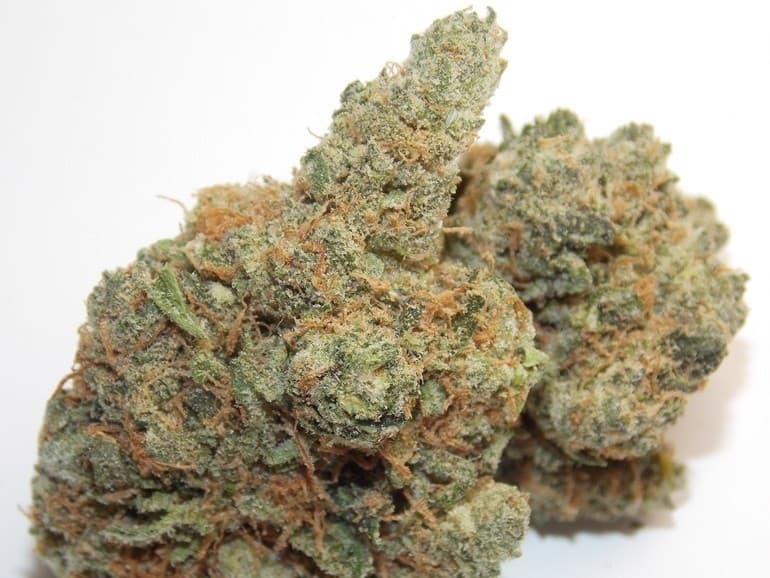 Dream Berry cannabis strain, community photo 1