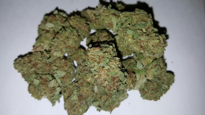 Dream Queen cannabis strain, community photo 2