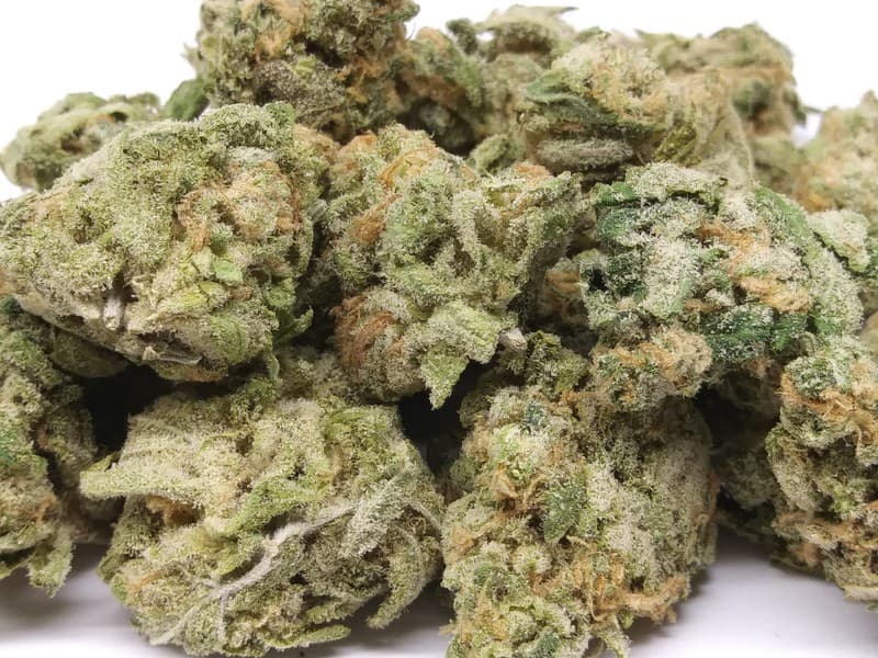 Dream Queen cannabis strain, community photo 5