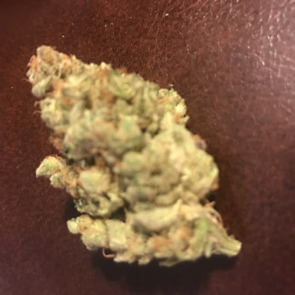 Dream Queen cannabis strain, community photo 9
