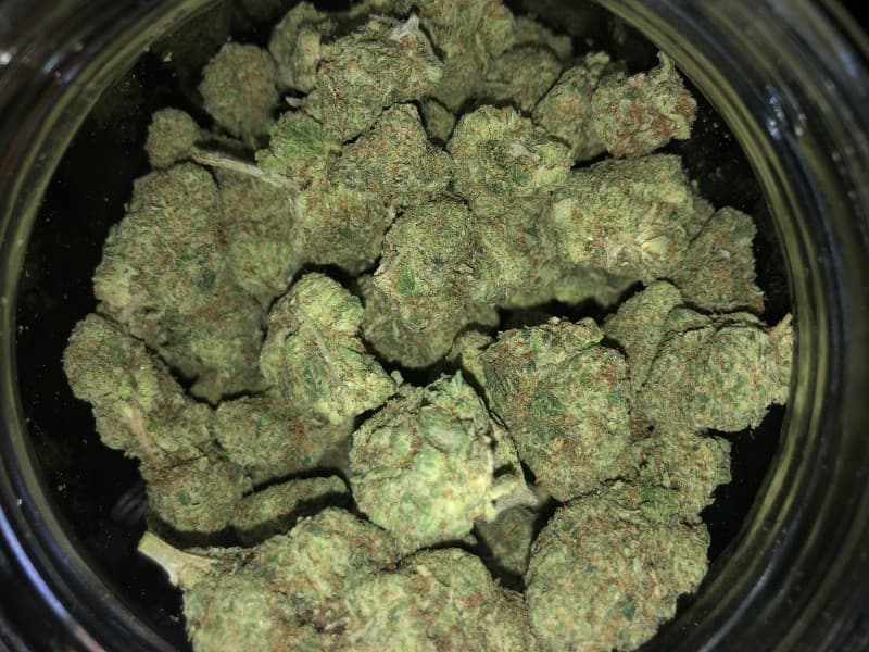 Duct Tape cannabis strain, community photo 1