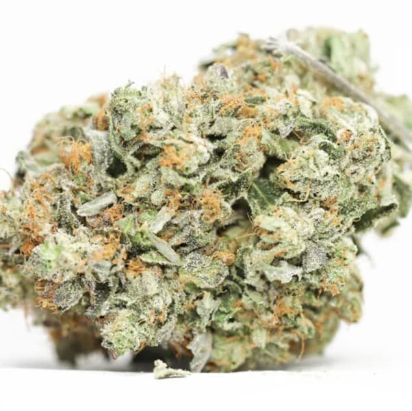 El Chapo OG cannabis strain, community photo 3