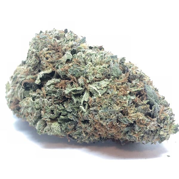 El Jefe cannabis strain, community photo 1