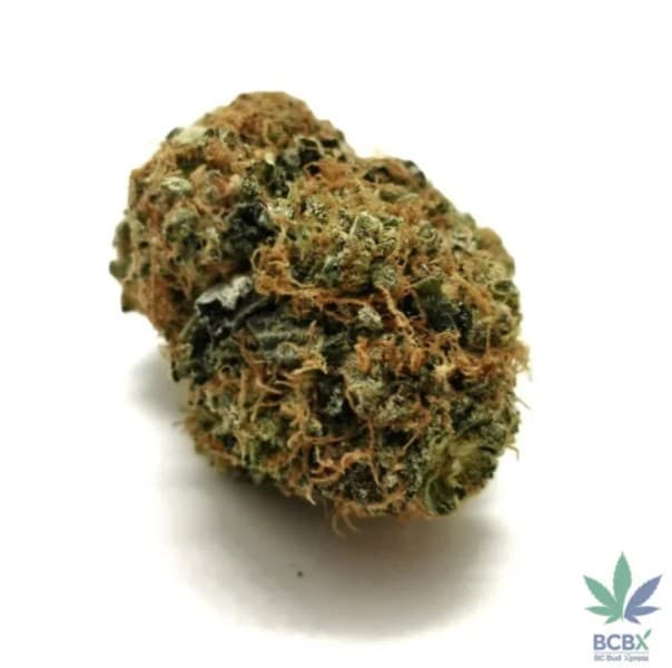 El Jefe cannabis strain, community photo 2