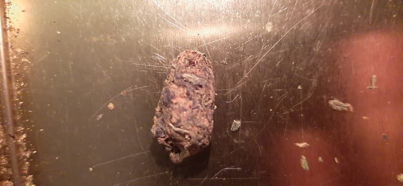 El Jefe cannabis strain, community photo 3