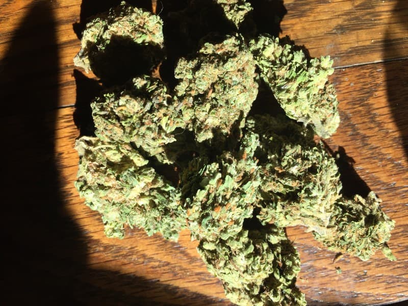 El Jefe cannabis strain, community photo 5