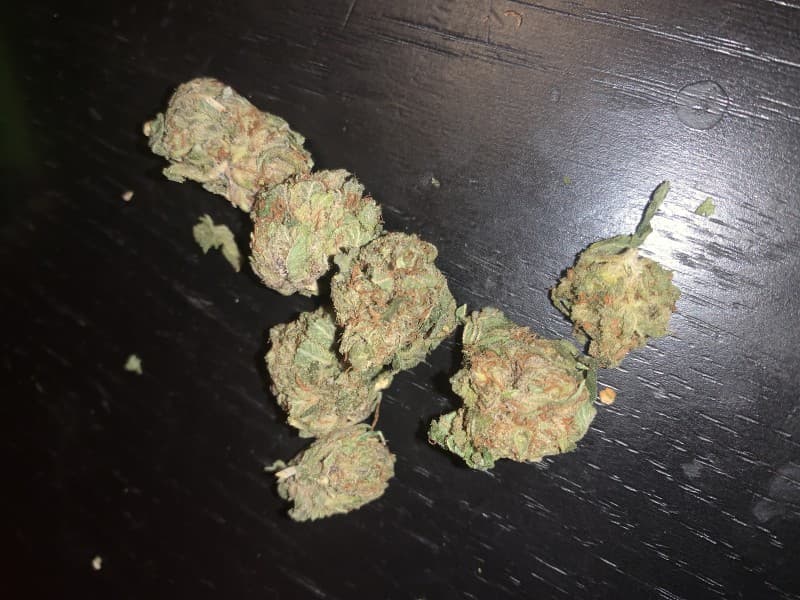 El Jefe cannabis strain, community photo 6