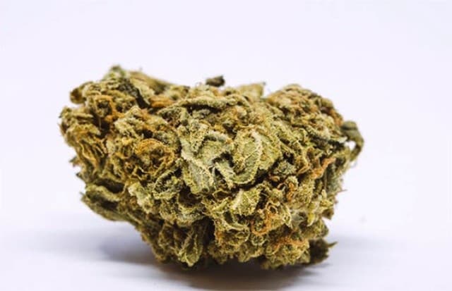 Falcon 9 cannabis strain, community photo 1
