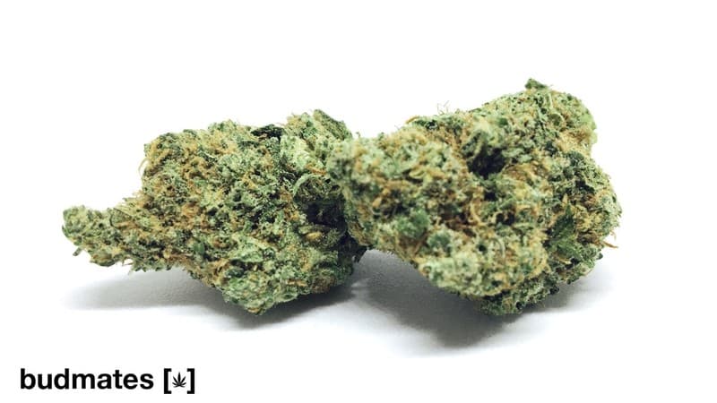 Fire OG cannabis strain, community photo 4