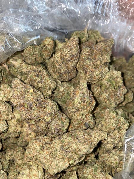 Fire OG cannabis strain, community photo 8