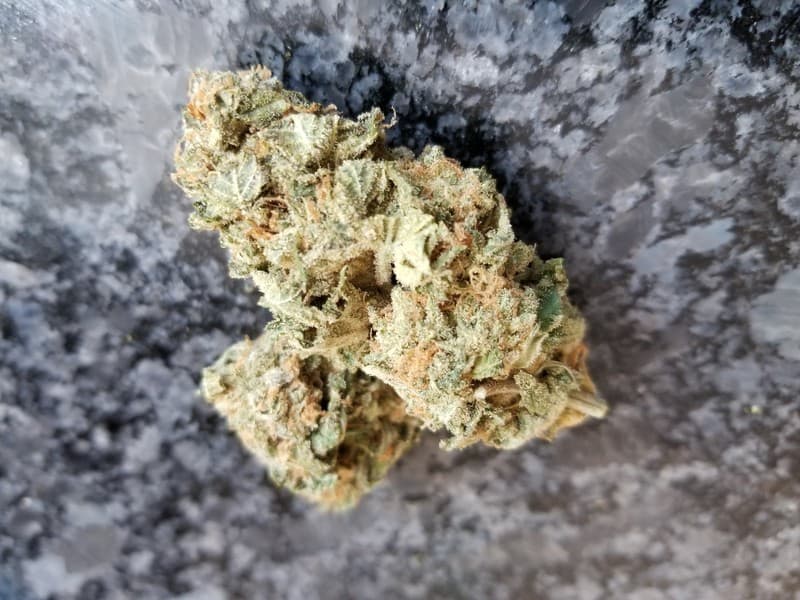 Fire OG cannabis strain, community photo 9