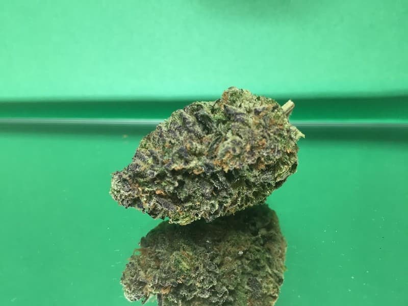 Flo cannabis strain, community photo 1