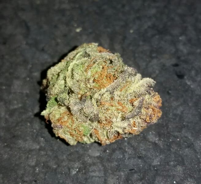 Flo cannabis strain, community photo 2