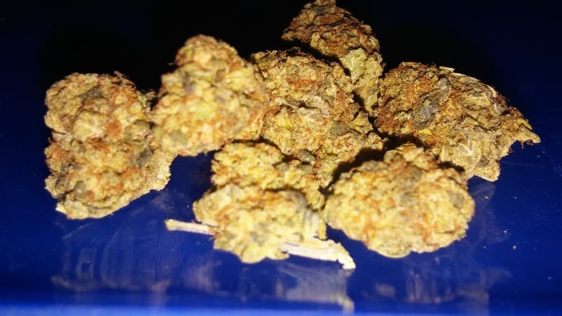 Flo cannabis strain, community photo 3