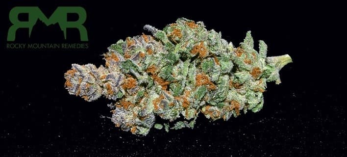 Flo cannabis strain, community photo 4