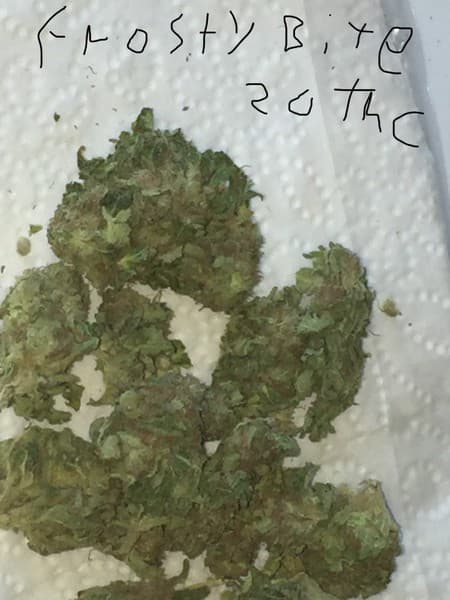 Frostbite cannabis strain, community photo 1