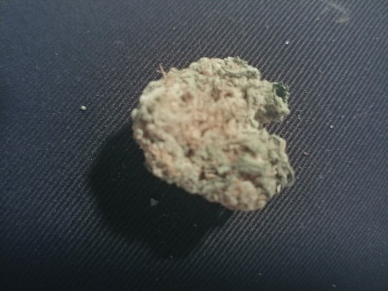 Frosty cannabis strain, community photo 1