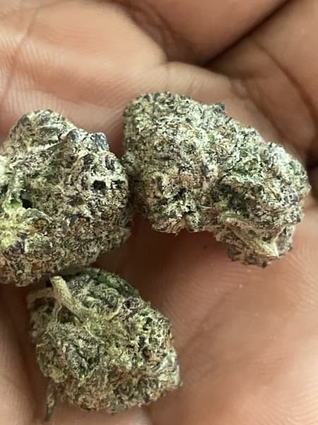 Frosty cannabis strain, community photo 4