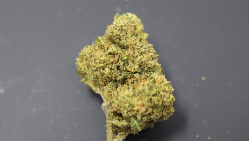 Fruit Punch cannabis strain, community photo 1