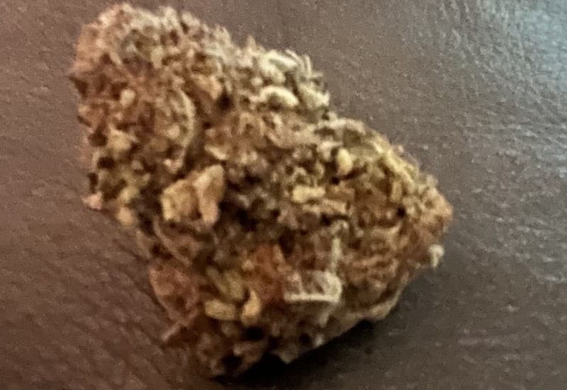 Fruit Punch cannabis strain, community photo 4