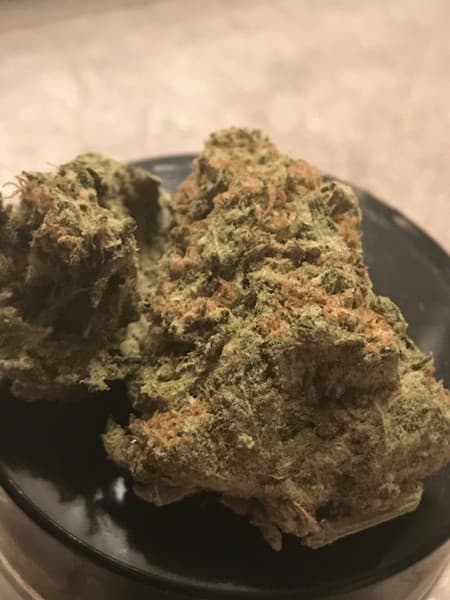 G-13 cannabis strain, community photo 4