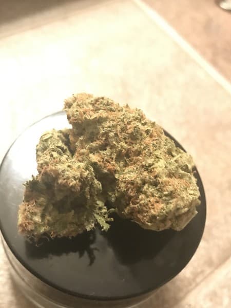 G-13 cannabis strain, community photo 5
