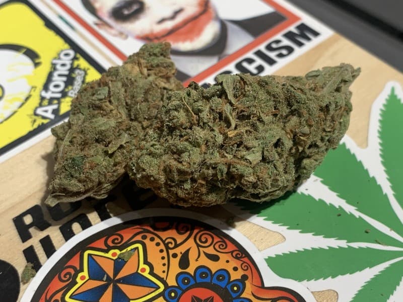 G13 cannabis strain, community photo 1