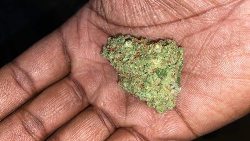 G13 cannabis strain, community photo 2