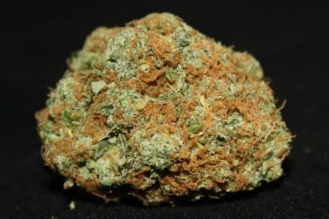 G13 cannabis strain, community photo 4