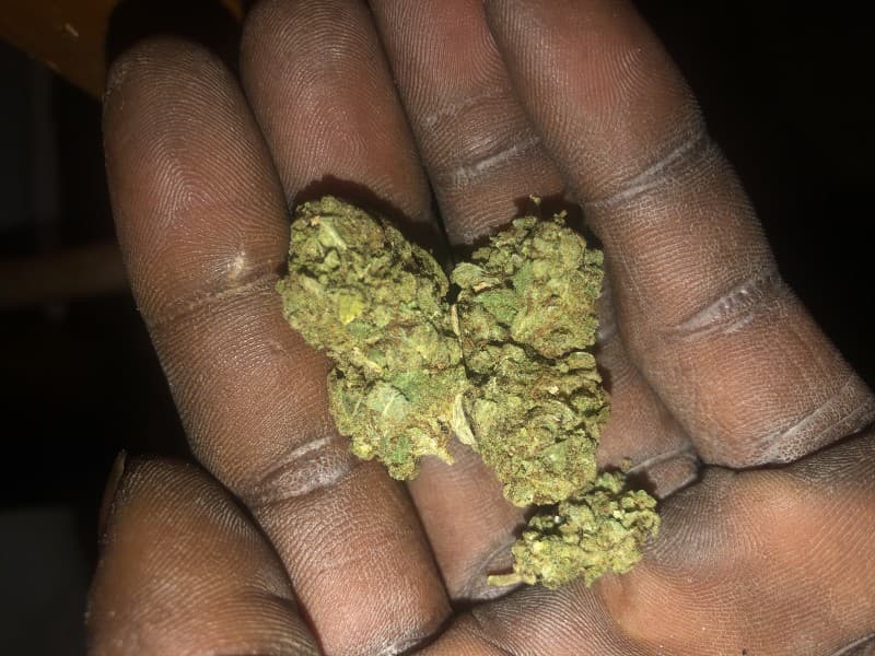 G6 cannabis strain, community photo 1
