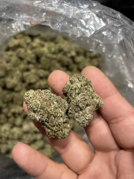 Galaxy cannabis strain, community photo 1