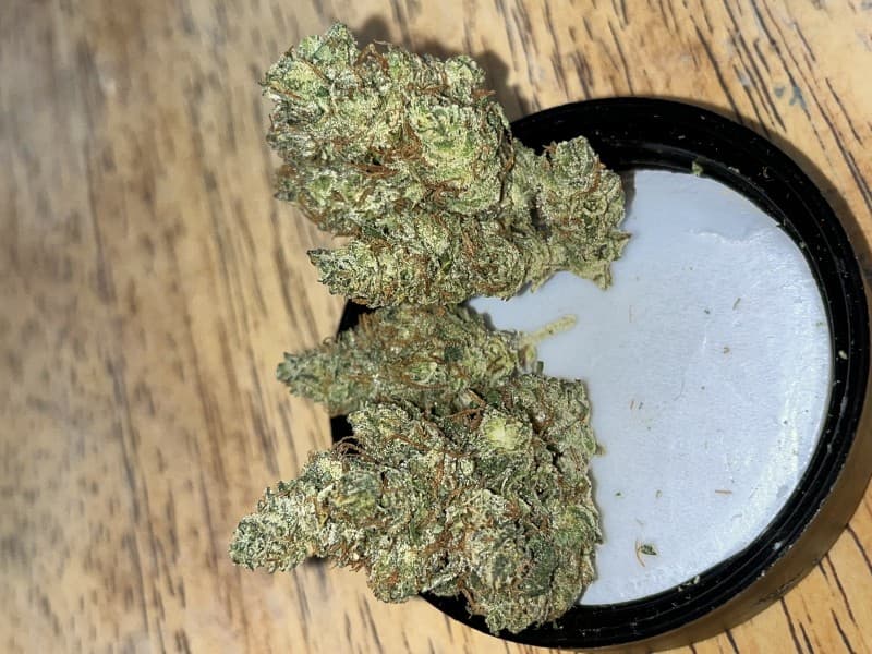 Garlotti cannabis strain, community photo 2