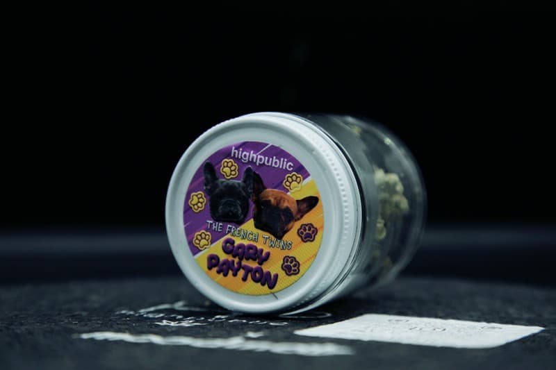 Gary Payton cannabis strain, community photo 2