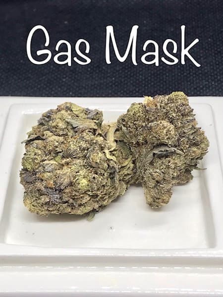 Gas Mask cannabis strain, community photo 4