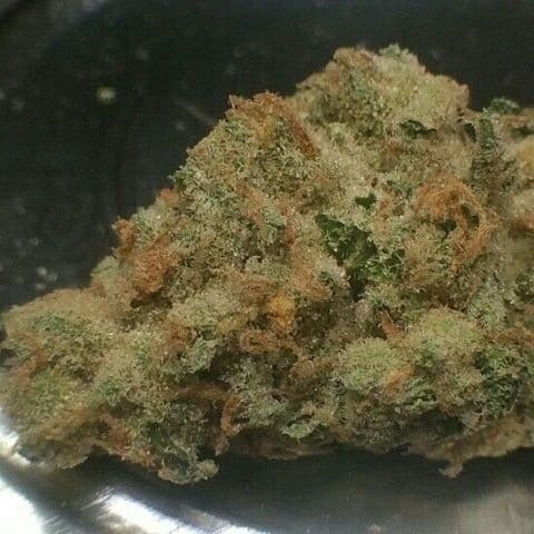 Gasmask cannabis strain, community photo 2