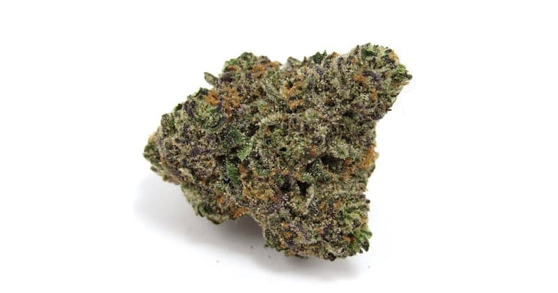 Gastro Pop cannabis strain, community photo 4